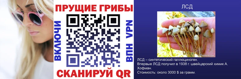 Галлюциногенные грибы прущие грибы  гидра ССЫЛКА  Белинский 